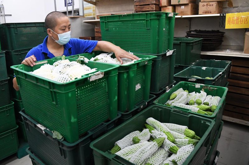 选购大米批发指南